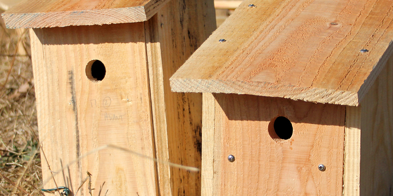 Nichoirs "boîte à lettres" © Bernard Liégeois